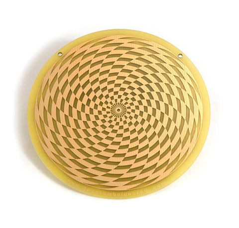 SENSOR Vortex Energy Scalar Wave Energy Plate